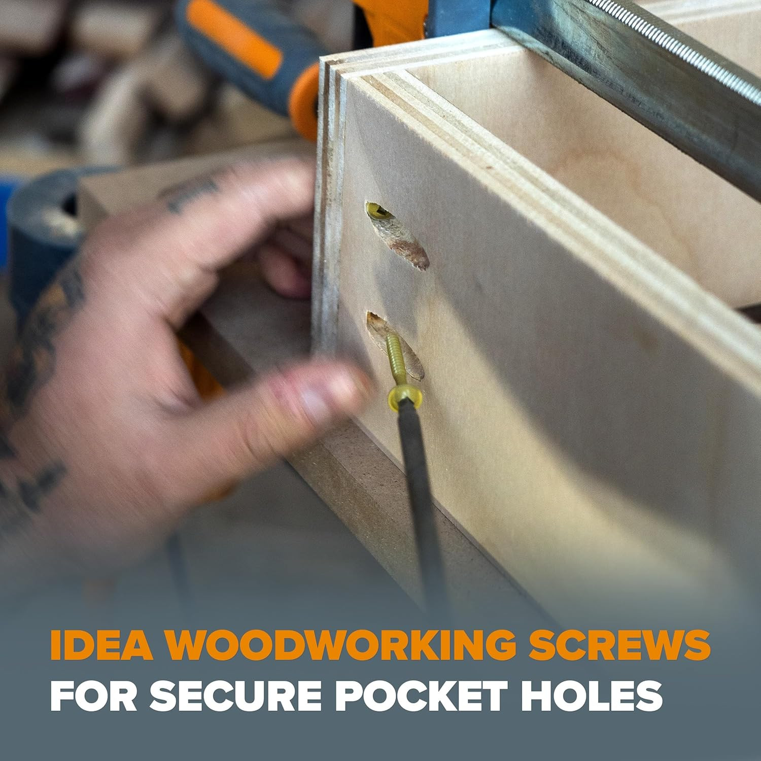 800-Piece Pocket Hole Screw Kit – Fine & Coarse Thread for Woodworking